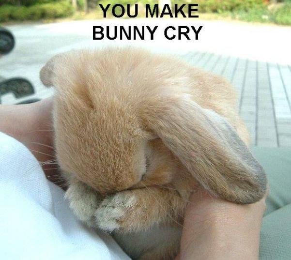 http://faustjucken.files.wordpress.com/2010/08/you-make-bunny-cry.jpg